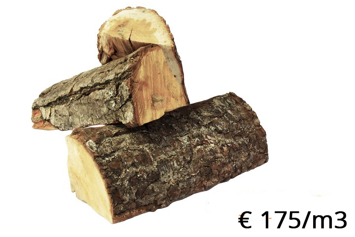 Elzen175